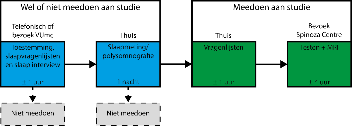 Overzicht meetmomenten