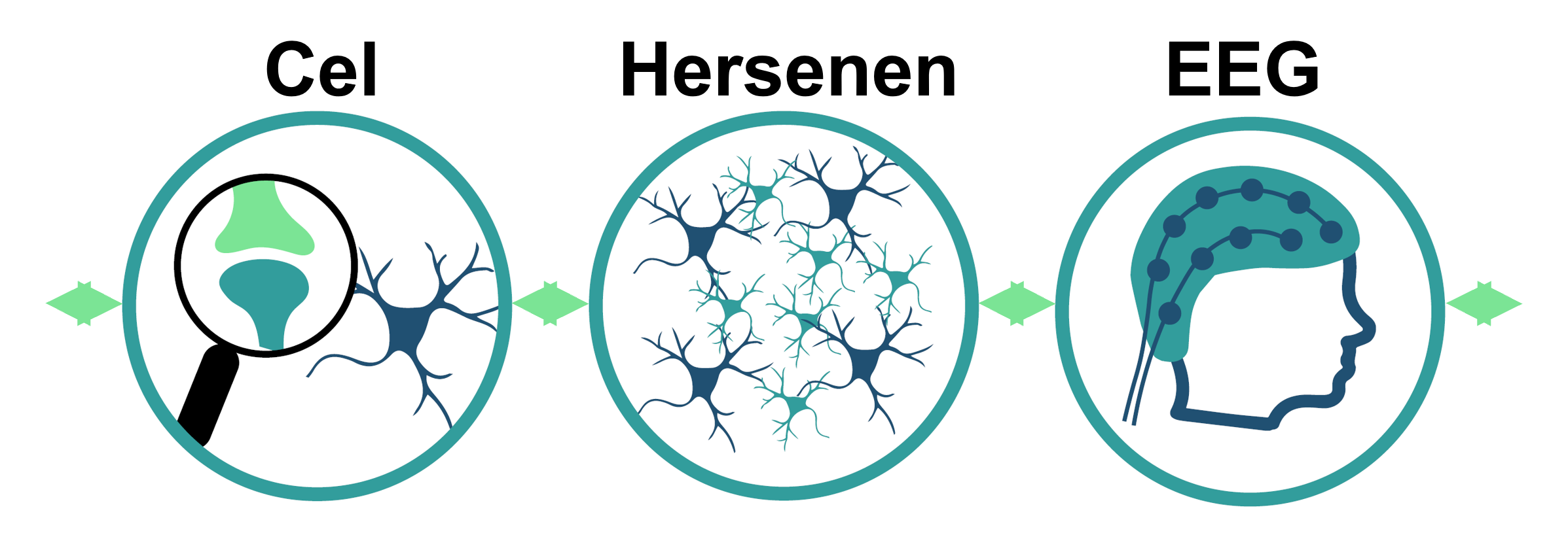 N=You Wetenschap