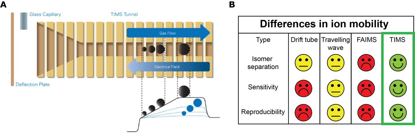 Figure 1. Basis and characteristics of Trapped Ion Mobility Spectroscopy. (A) Trapped Ion Mobility Spectrometry (TIMS): each ion is trapped in the TIMS tunnel at the point where the force of a gas flow matches the opposing force of an increasing electrical field in the tunnel. Ions are portrayed aligned along the electrical field gradient, for selective release the electrical field is ramped down. (B) TIMS ion mobility compared to currently used ion mobility techniques. TIMS is superior on all fronts.