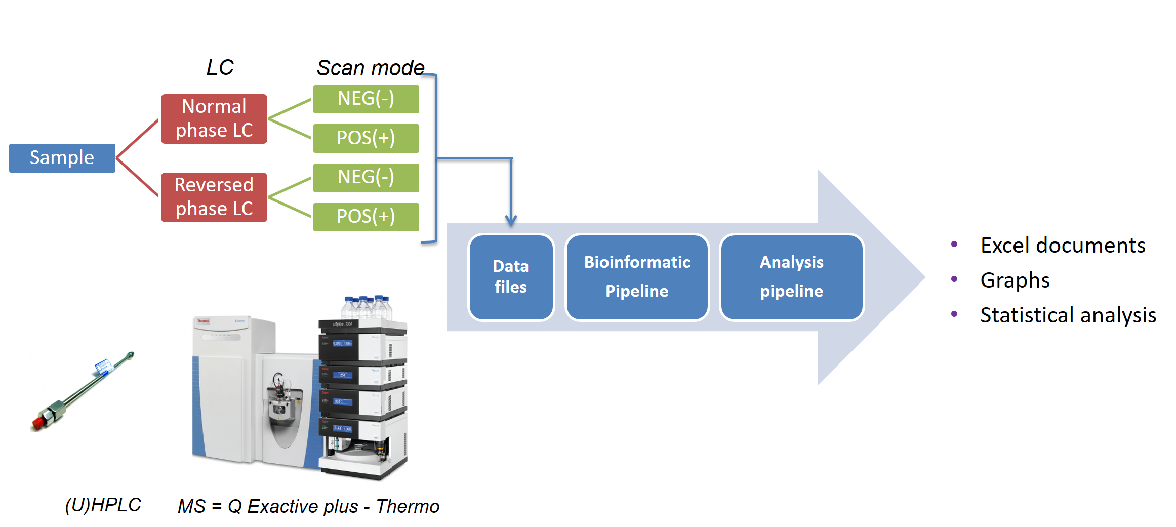 Figure 1. Overview of the lipidomics platform.