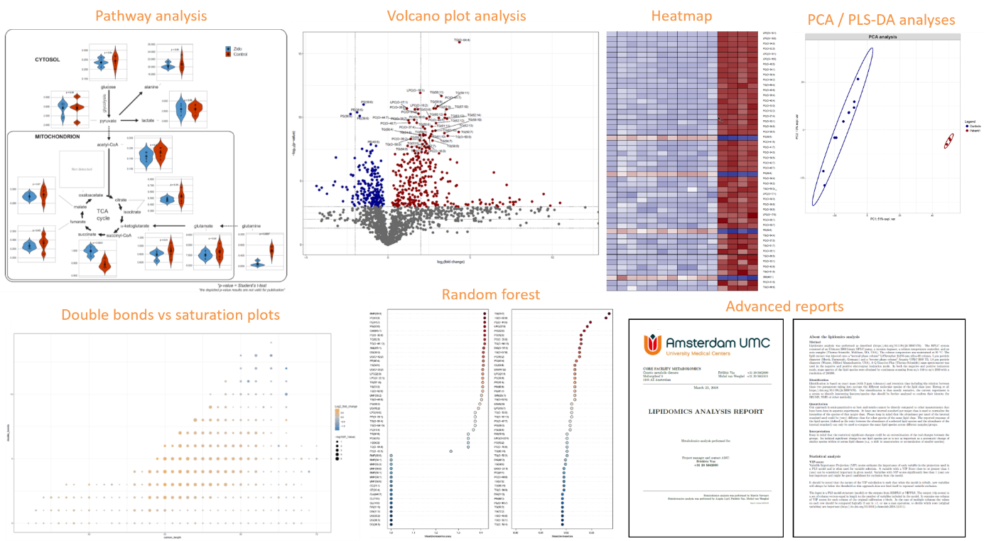 Figure 2. Output of the metabolomics/lipidomics statistical analysis and reporting.