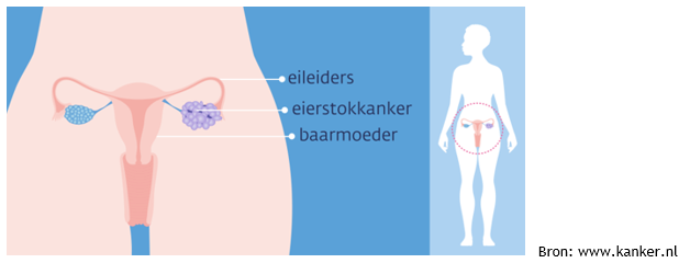 Afbeelding met tekst, ontwerp
Door AI gegenereerde inhoud is mogelijk onjuist.