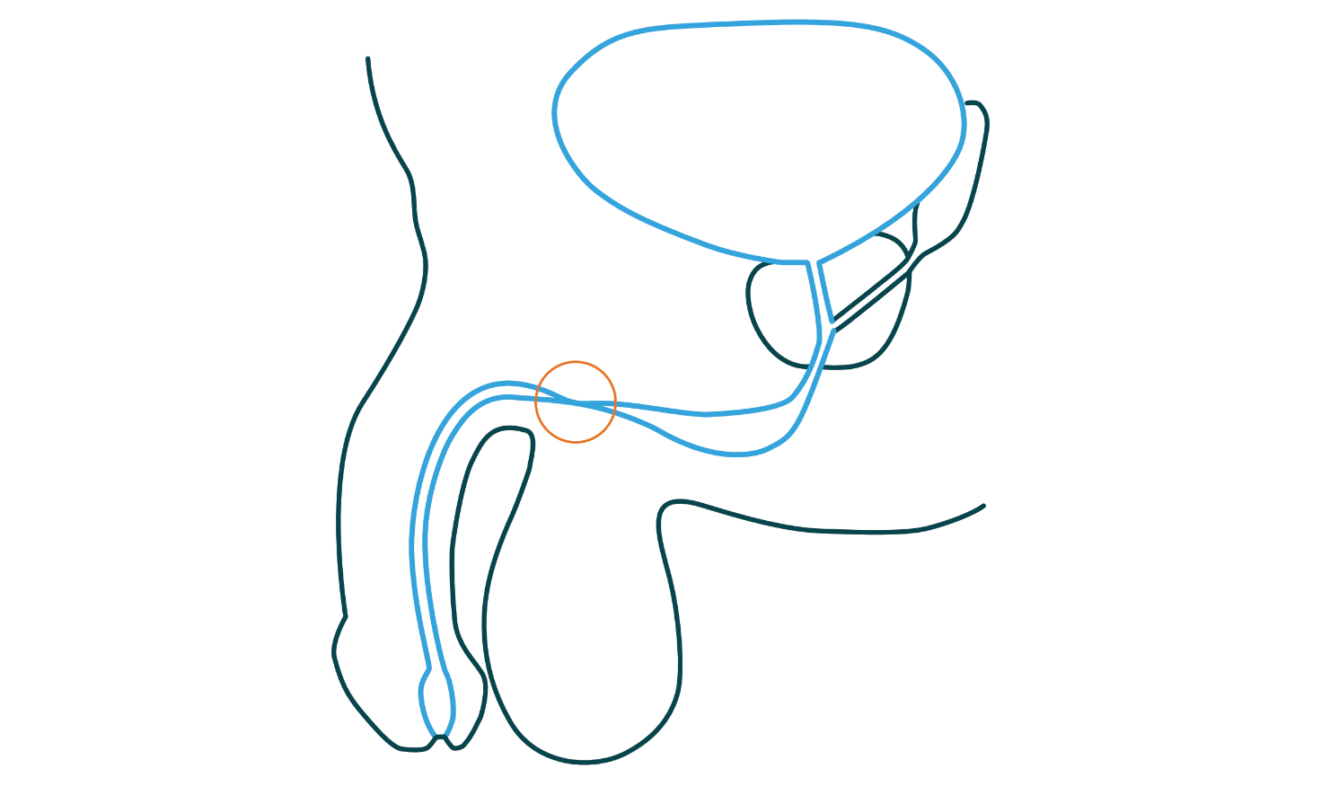 Afbeelding met schets, Lijnillustraties, tekening, illustratie
Automatisch gegenereerde beschrijving
