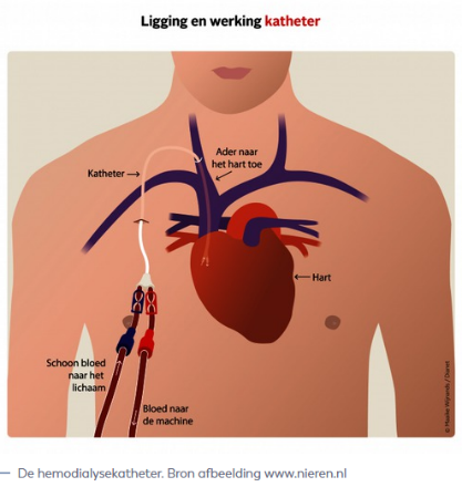 Afbeelding met tekst, schermopname, persoon
Door AI gegenereerde inhoud is mogelijk onjuist.
