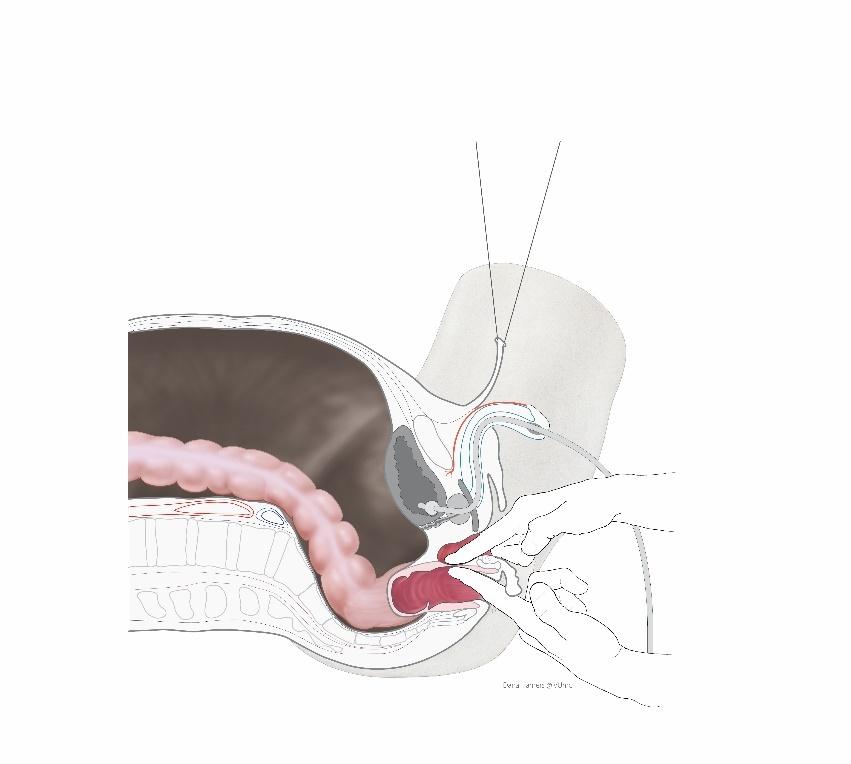 Afbeelding met schets, tekening, kunst, illustratie
Door AI gegenereerde inhoud is mogelijk onjuist.