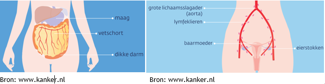 Afbeelding met tekst, schermopname, skelet