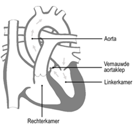 Afbeelding met schets, tekening, diagram, Lijnillustraties