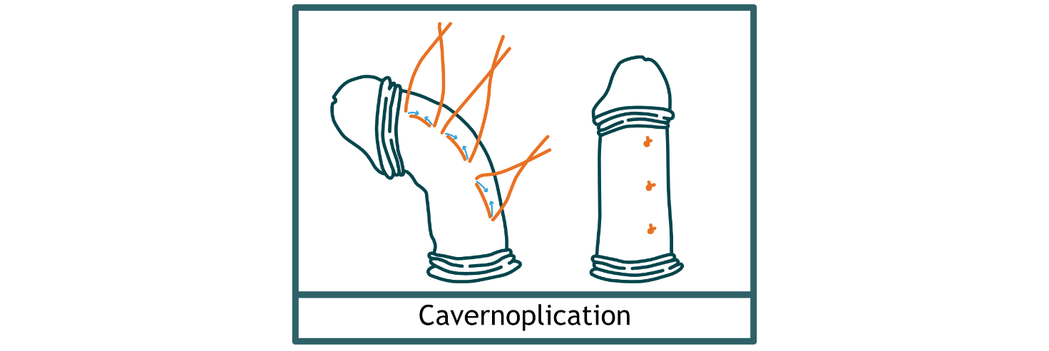 Afbeelding met tekening, schets, Kinderkunst, kunst
Automatisch gegenereerde beschrijving