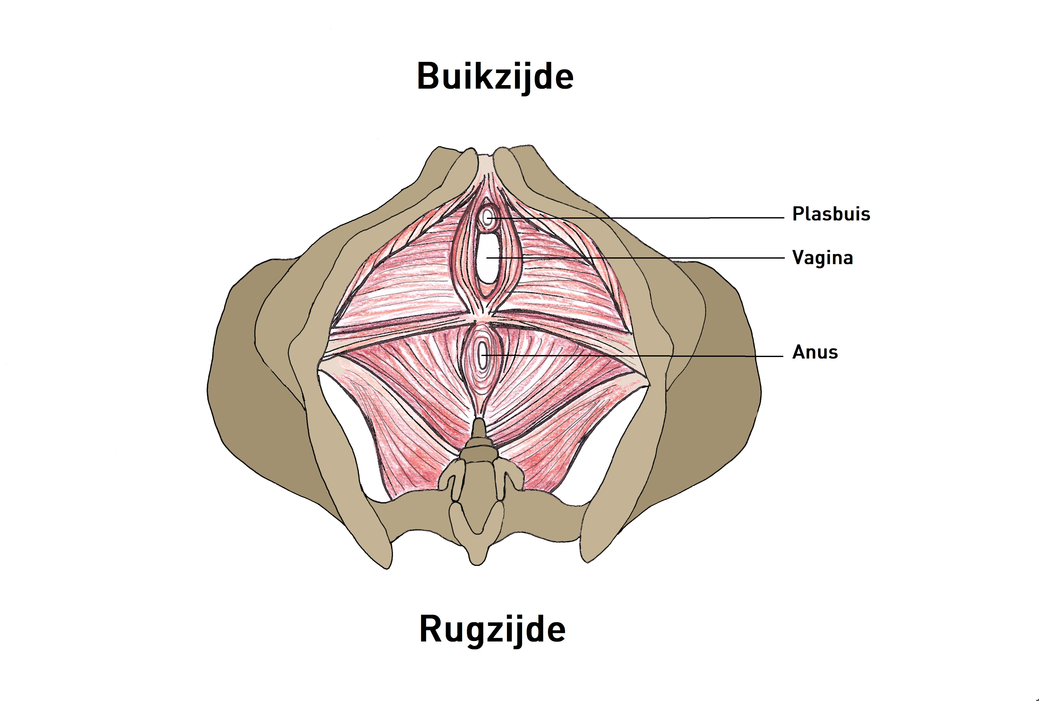 Porno qol ishlari Pantyhose foto porno galereyasi