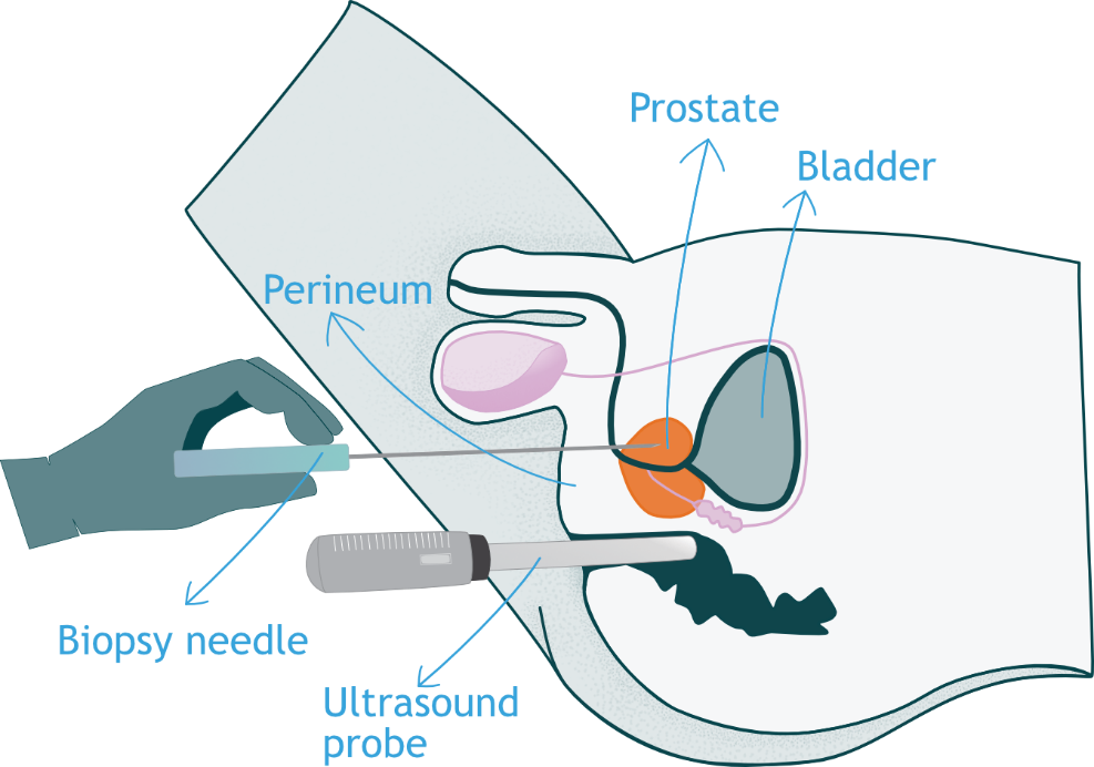 Afbeelding met tekst, diagram, schermopname, Graphics
Automatisch gegenereerde beschrijving