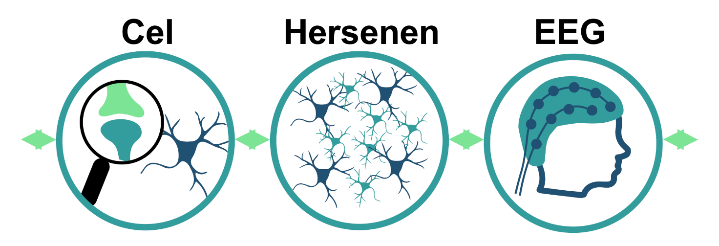 A picture containing circle, cartoon
Description automatically generated