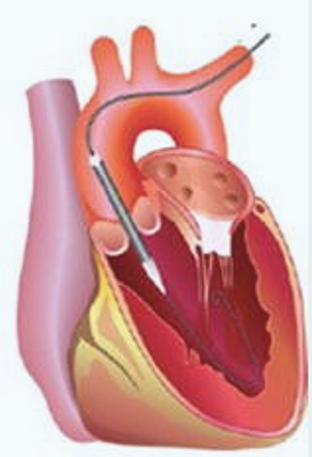 Afbeelding met tekenfilm, kunst
Door AI gegenereerde inhoud is mogelijk onjuist.