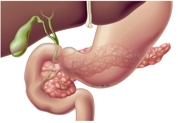 Afbeelding met Ledemaat, teen
Door AI gegenereerde inhoud is mogelijk onjuist.