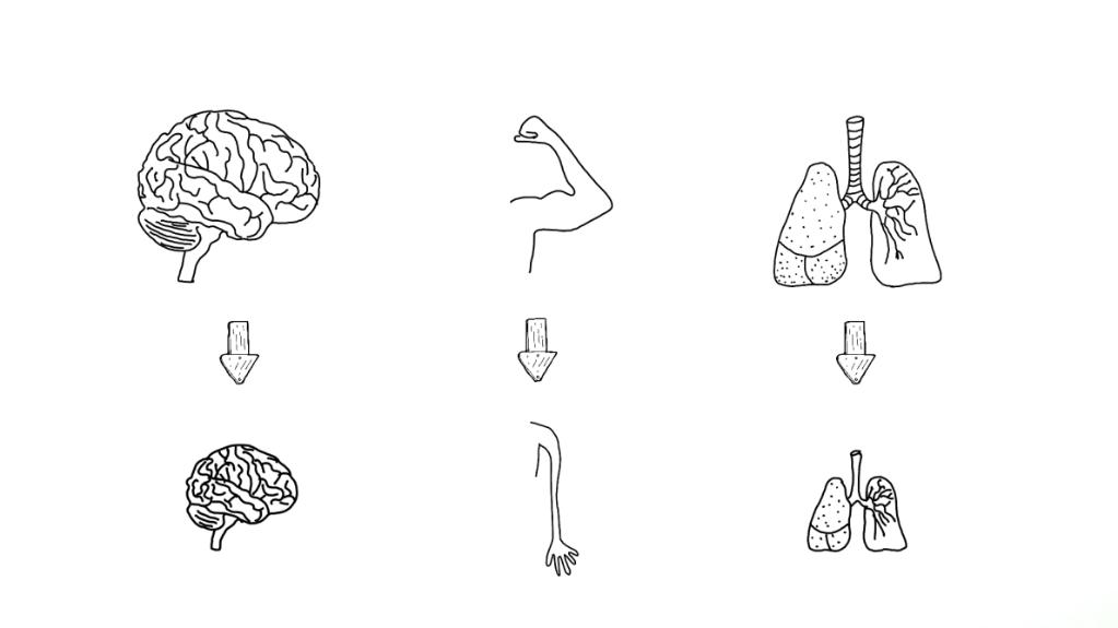 G:\divi\RevalidatieResearch\Project BetrBewegen\PR\Beeldmateriaal\Platen\BBC Plaat 4.png