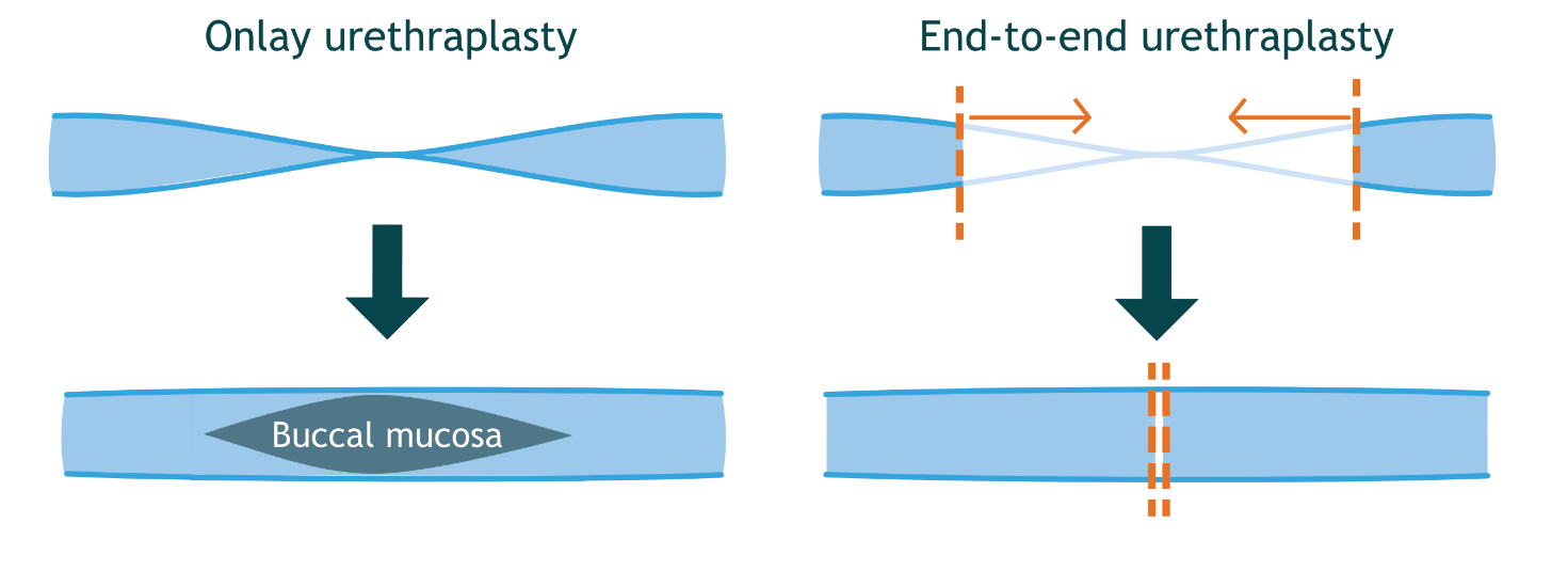Afbeelding met schermopname, tekst, lijn, diagram
Automatisch gegenereerde beschrijving