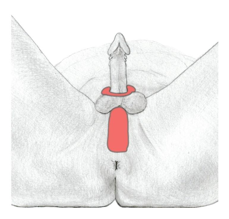 Afbeelding met schets, tekening, kunst, illustratie
Door AI gegenereerde inhoud is mogelijk onjuist.
