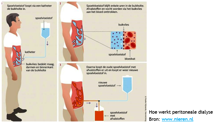 Afbeelding met tekst, schermopname, kleding
