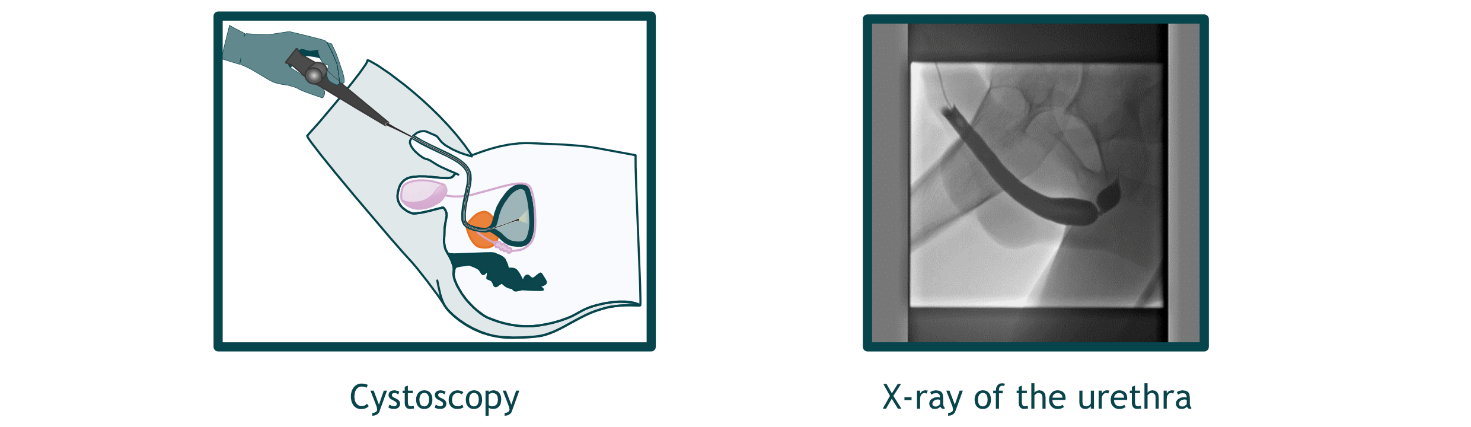 Afbeelding met schermopname, röntgenfilm, ontwerp
Automatisch gegenereerde beschrijving