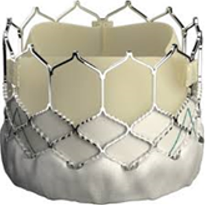 Afbeelding met overdekt
Door AI gegenereerde inhoud is mogelijk onjuist.