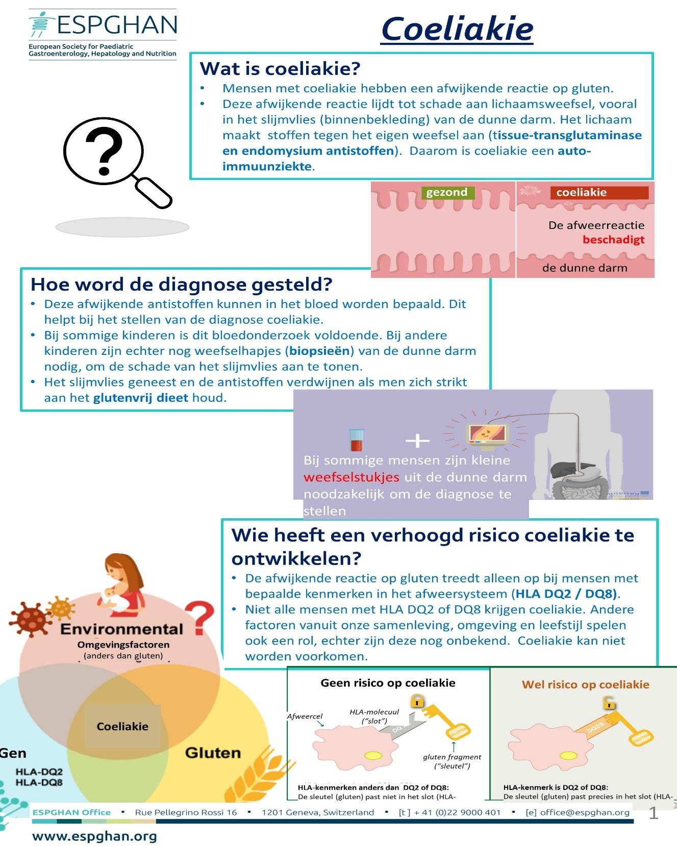 Afbeelding met tekst, schermopname
Automatisch gegenereerde beschrijving