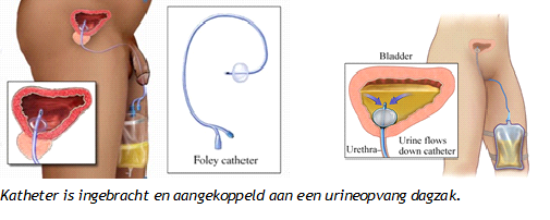 Afbeelding met tekst
Door AI gegenereerde inhoud is mogelijk onjuist.
