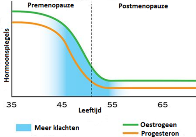 Afbeelding met tekst, schermopname, lijn, Perceel
Door AI gegenereerde inhoud is mogelijk onjuist.