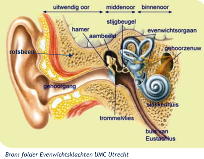 Afbeelding met tekst