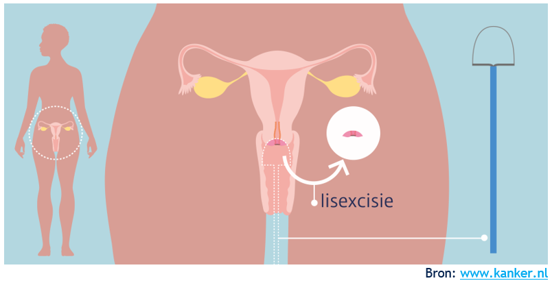 Afbeelding met tekenfilm, illustratie, zoogdier, clipart