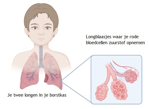 Afbeelding met Menselijk gezicht
Door AI gegenereerde inhoud is mogelijk onjuist.
