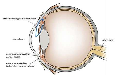 Afbeelding met cirkel