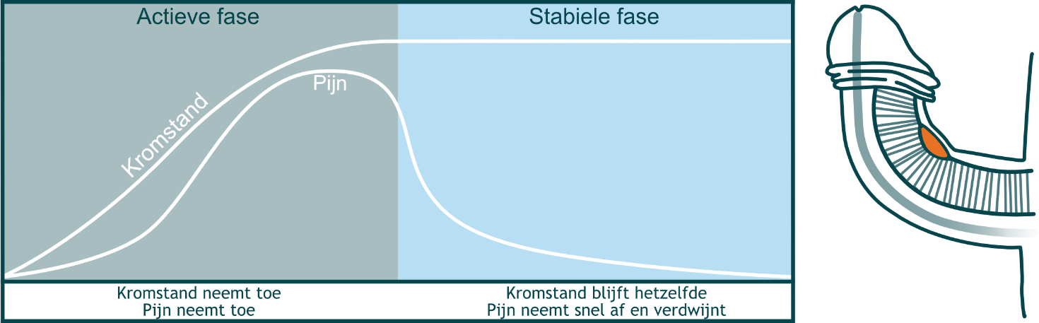 Afbeelding met schermopname, tekst, Graphics, ontwerp
Automatisch gegenereerde beschrijving