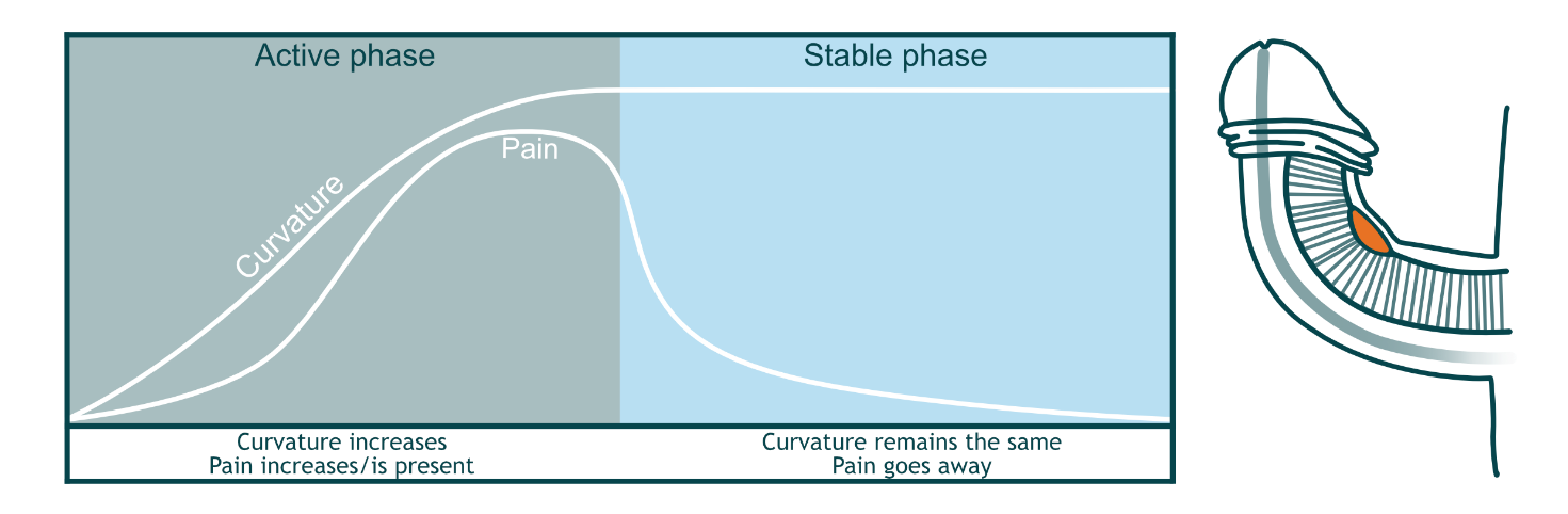 Afbeelding met tekst, schermopname, diagram, ontwerp
Door AI gegenereerde inhoud is mogelijk onjuist.