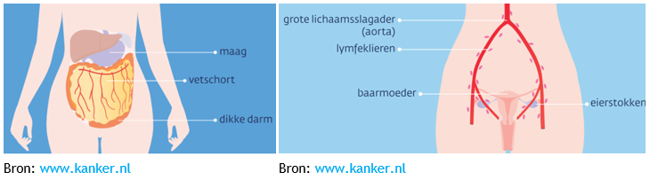 Afbeelding met tekst, schermopname, skelet