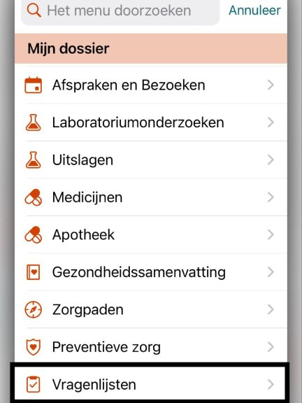 Vragenlijsten in menu (mijn dossier)