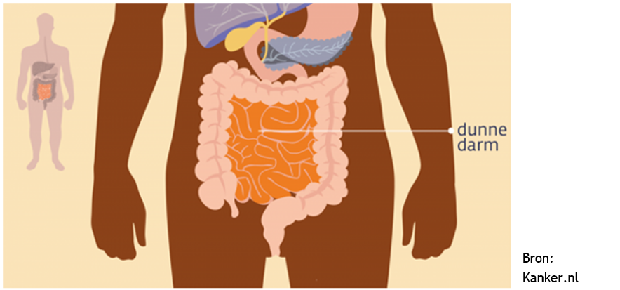 Afbeelding met tekenfilm, schermopname, ontwerp, kunst