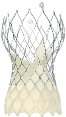 Afbeelding met schets, kunst
Door AI gegenereerde inhoud is mogelijk onjuist.