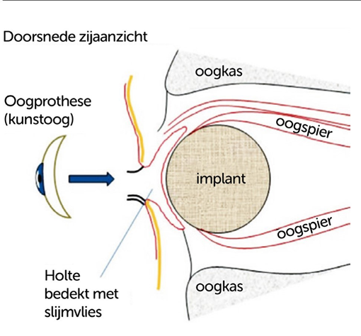 Afbeelding met tekst, diagram, schermopname, cirkel
Door AI gegenereerde inhoud is mogelijk onjuist.
