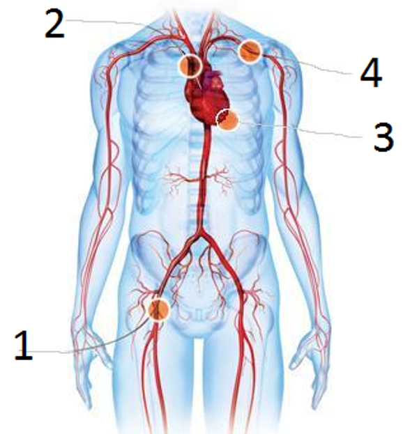Afbeelding met Kinderkunst, kunst, skelet
Door AI gegenereerde inhoud is mogelijk onjuist.