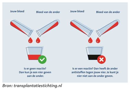 Afbeelding met tekst, schermopname, visitekaartje
Automatisch gegenereerde beschrijving
