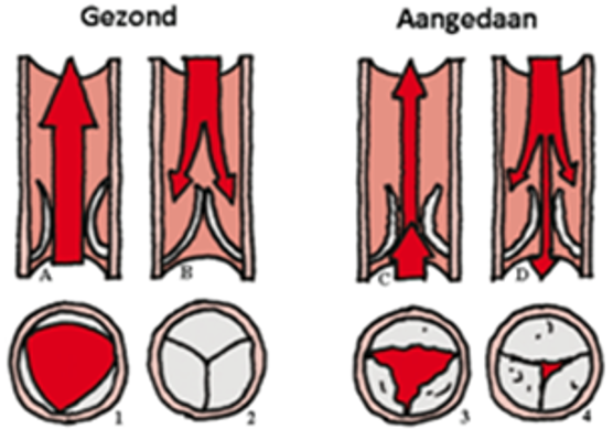 Afbeelding met Karmijn, rood, schets, symbool
Door AI gegenereerde inhoud is mogelijk onjuist.