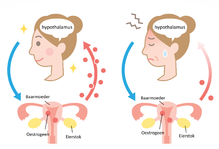 Afbeelding met clipart, tekenfilm, illustratie
Door AI gegenereerde inhoud is mogelijk onjuist.