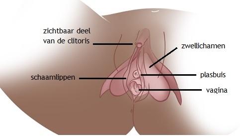 Afbeelding met tekst, visitekaartje, schermopname, ontwerp
Door AI gegenereerde inhoud is mogelijk onjuist.