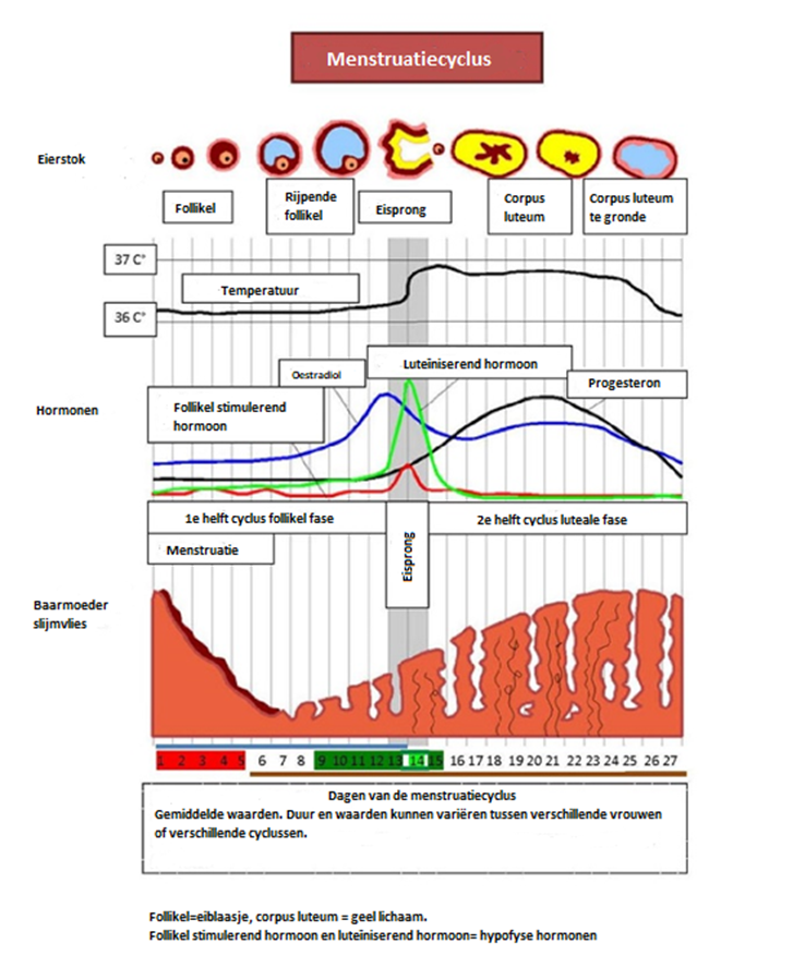 Afbeelding met tekst, diagram, schermopname, lijn
Door AI gegenereerde inhoud is mogelijk onjuist.