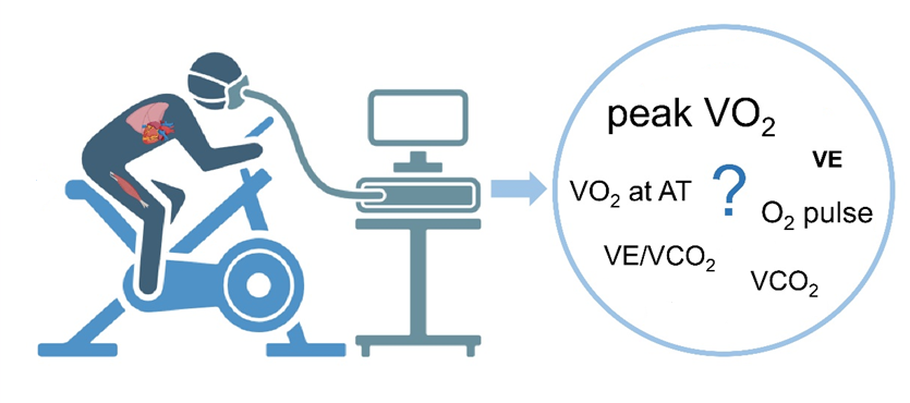 Afbeelding met tekst, tekenfilm, fietsen
Door AI gegenereerde inhoud is mogelijk onjuist.